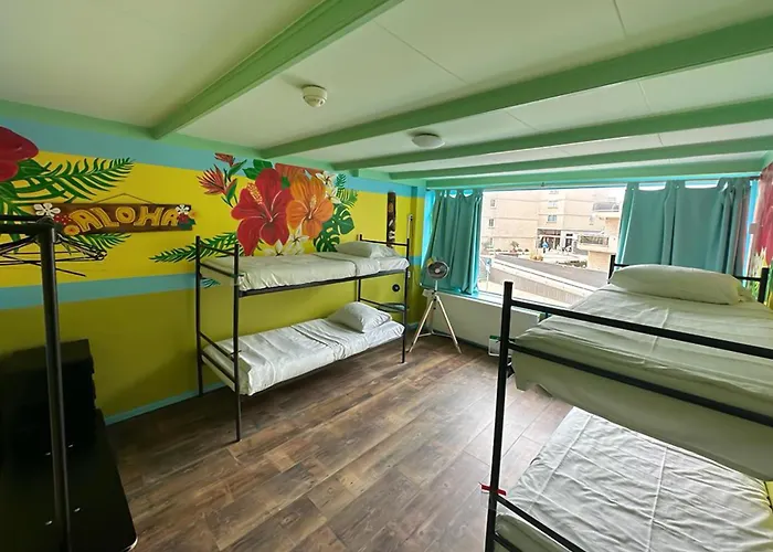 The Flying Pig Beach Hostel