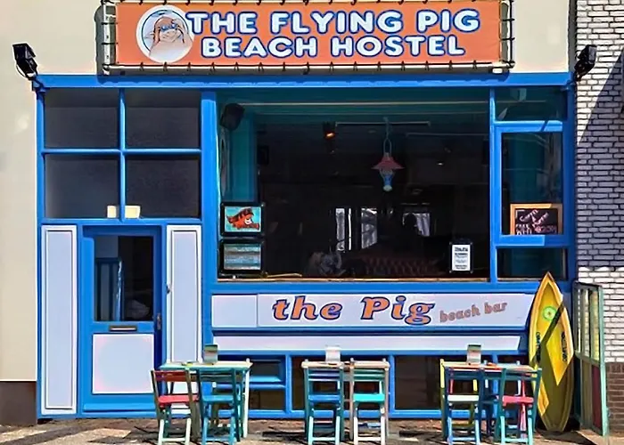 The Flying Pig Beach Hostel